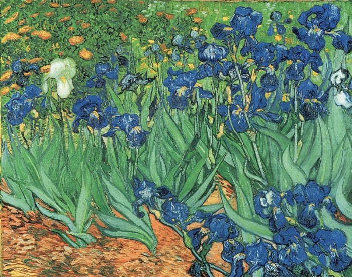 Les Iris - Van Gogh - puzzle Michèle Wilson 500 pièces