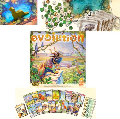 Evolution