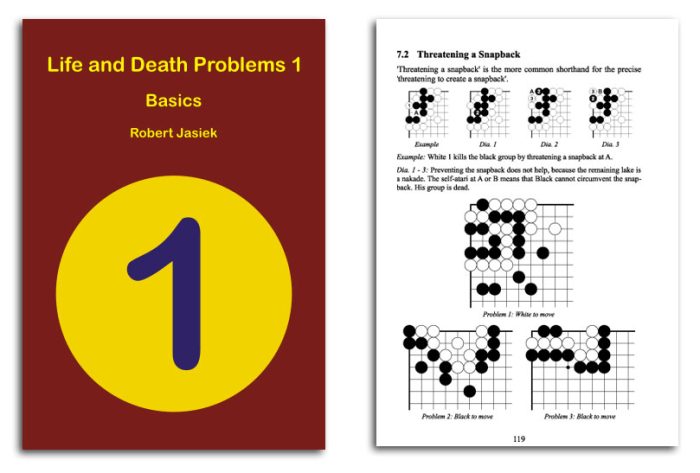 Life and Death Problems 1 - Basics (Jasiek)