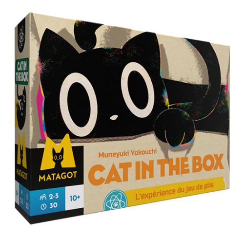Cat in the box