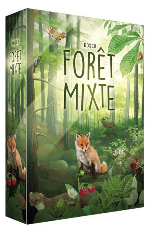 Forêt mixte